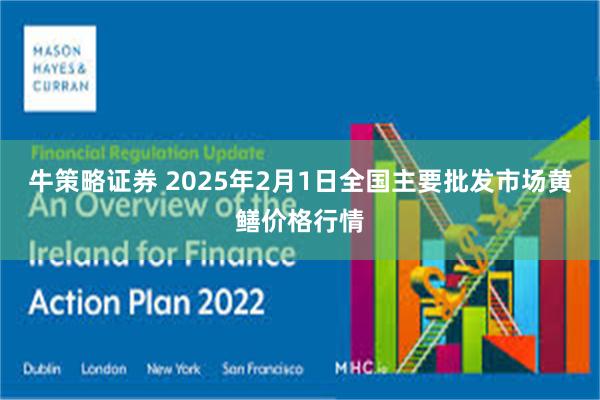 牛策略证券 2025年2月1日全国主要批发市场黄鳝价格行情