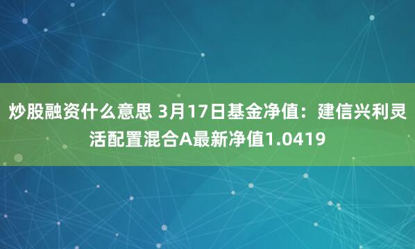 炒股融资什么意思 3月17日基金净值：建信兴利灵活配置混合A最新净值1.0419